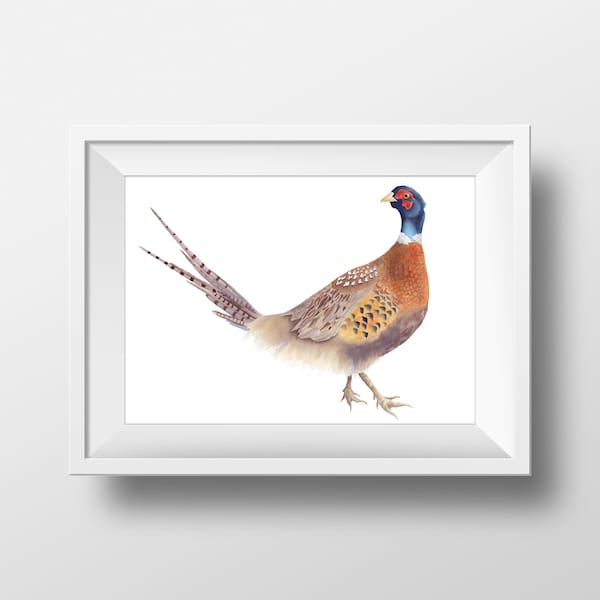 Pheasant Watercolor Painting Art Print /  Pheasant Print / Gifts for hunters / Gift for Dad / Instant Download Bird Artwork