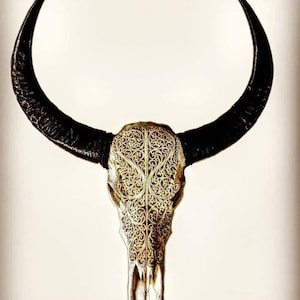 May include: A carved buffalo skull with intricate floral patterns. The skull is a light beige color and the horns are black.