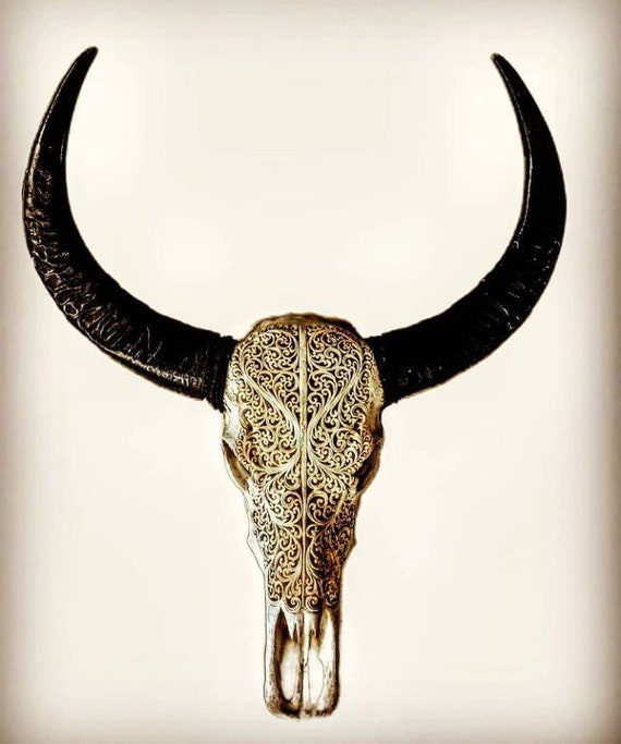 Real Carved Water Buffalo Skull Etsy
