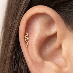 Orm-labretörhänge i sterlingsilver • 18G/16G platt baksida örhänge