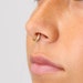 see more listings in the 18G/16G Septum Hoops section