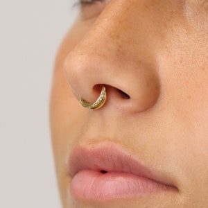 Paved Double Conch Clicker Hoop, Nose Ring, Septum Hoop, Hoop Earring, 16G/18G Clicker Hoops Daith Hoop Tragus Hoop Rook Hoop image 5