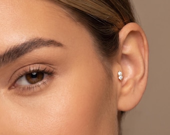 May include: A small, metallic ear piercing stud featuring two clear, round-cut stones set vertically. The jewelry is positioned in the tragus area of the ear, showcasing a simple, polished design with two sparkling, circular gemstones.