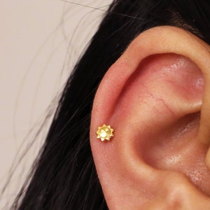 18G/16G Koi Fish Cartilage Flat Back Labret Cute Stud Earrings Tragus Stud Flat  Back Earring Helix Conch Earring Cartilage 