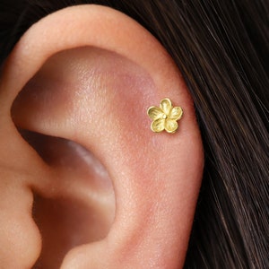 Boucles d'oreilles en or 18 g / 16 g cartilage délicat fleur • clou tragus • boucles d'oreilles conque fleur • clou cartilage hélice • clou labret à l'arrière plat