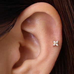 18G / 16G Zierliche Blume Knorpel Gold Ohrstecker • Tragus Ohrstecker • Blume Muschel Ohrringe • Knorpel Helix Ohrstecker • Flachboden Labret Ohrstecker