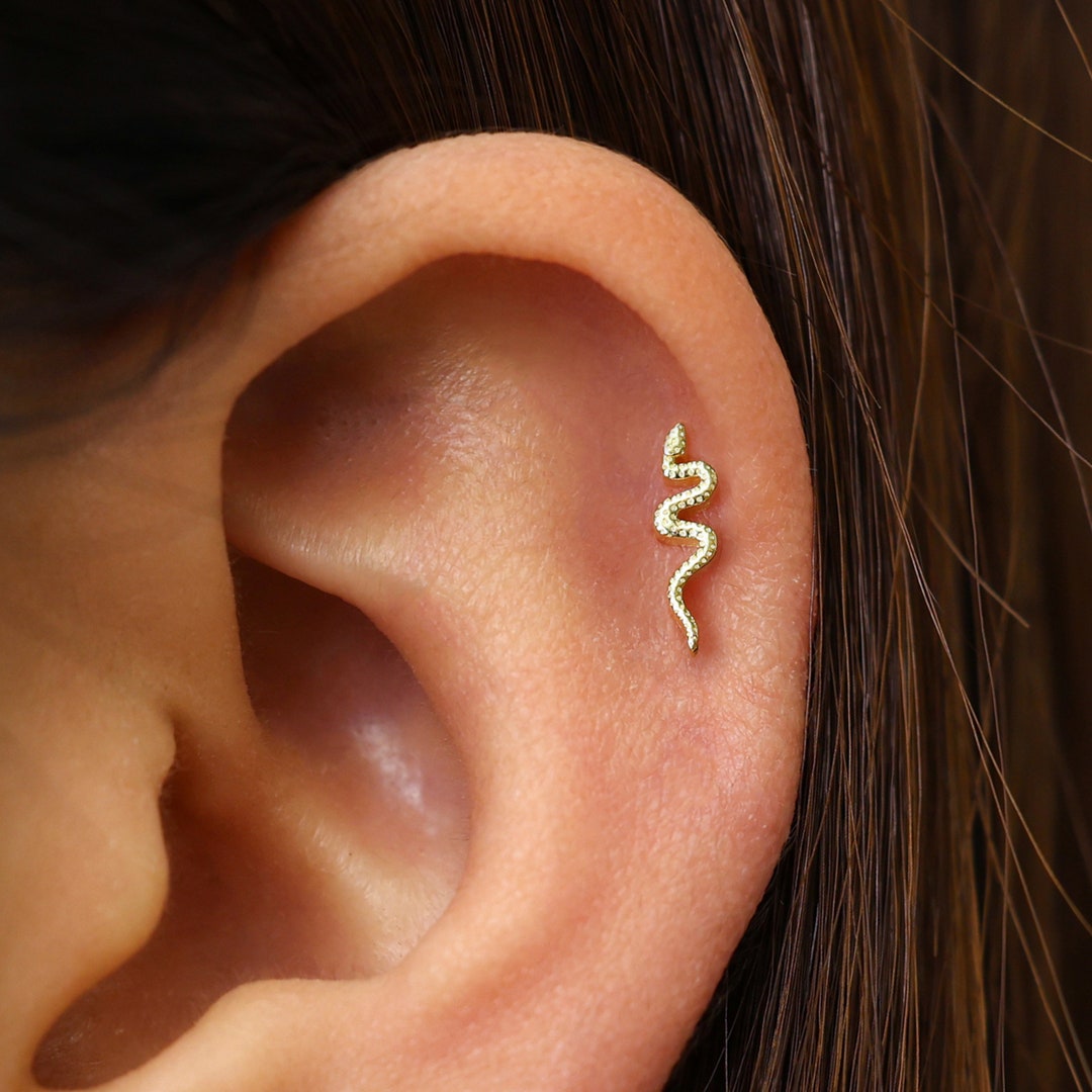 18G 16G Tiny Serpent Cartilage Gold Stud Earrings Snake Tragus Snake Conch Earrings Cartilage Stud Tiny Helix Snake Studs Etsy