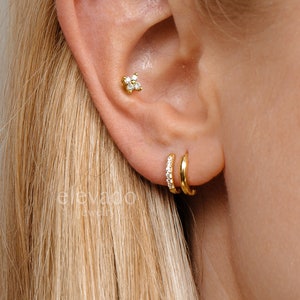 20G Bloem Kraakbeen Gouden Stud Oorbellen schelp oorbellen kleine stud oorbellen kraakbeen stud helix stud tragus studs schroef terug afbeelding 3