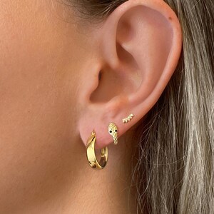 May include: Gold hoop earrings with a snake design and a small star design. The earrings are worn in the earlobe and helix.