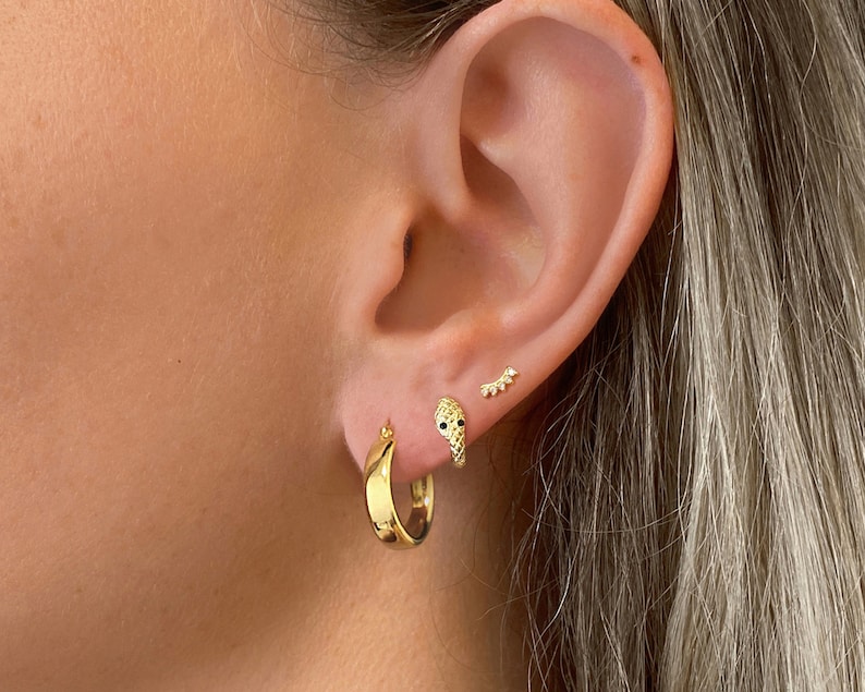 May include: Gold hoop earrings with a snake design and a small star design. The earrings are worn in the earlobe and helix.