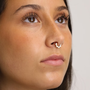 Flower Daith Hoop Earring, Nose Ring, Conch Hoop, Hoop Earring, 16G/18G Clicker Hoops Septum Ring Tragus Hoop Rook Hoop image 7