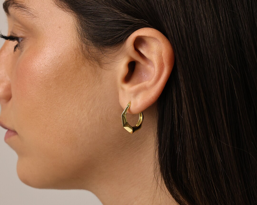 Geometric Hoop Earrings • Small Hoop Earrings • Heptagon