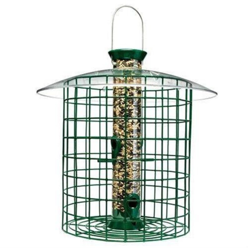 Wild Bird Feeder With Domed Cage In Green Etsy