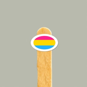 Adesivo bandiera orgoglio pansessuale / Adesivo in vinile LGBTQ / Piccolo adesivo impermeabile per telefoni, computer portatili, bottiglie d'acqua / Regalo orgoglio pan