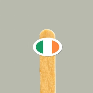Adesivo bandiera irlandese / Adesivo in vinile Irish Pride / Piccolo adesivo bandiera irlandese per telefoni, computer portatili, bottiglie d'acqua / Regalo irlandese / Eredità irlandese