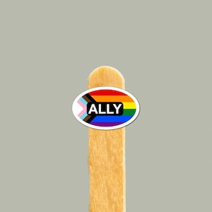 May include: An oval sticker featuring the Progress Pride flag design with horizontal stripes of red, orange, yellow, green, blue, and violet, plus a chevron of light blue, pink, white, brown, and black. The word ALLY is printed in white on a black bar.