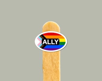 Ally vinylklistermärke — HBTQ+ Pride Ally-present, vattenflaska och laptopdekal