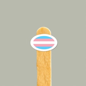 de drapeau de fierté transgenre | Sticker LGBTQ résistant à l'eau | Stickers muraux en vinyle personnalisés pour ordinateurs portables, téléphones, bouteilles d'eau | Cadeau fierté trans