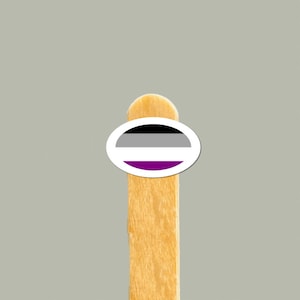 Asexual Pride Flagge Aufkleber | Wasserfester Vinyl-Aufkleber | Kleiner kundenspezifischer Aufkleber für Laptops, Telefone, Wasserflaschen | Asexual Stolz Geschenk