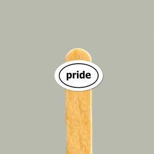 Pride Aufkleber | LGBTQ Kleiner wasserdichter Aufkleber für Handys, Laptops, Wasserflaschen | Benutzerdefinierte Stolz Geschenk | LGBTQ Pride Aufkleber
