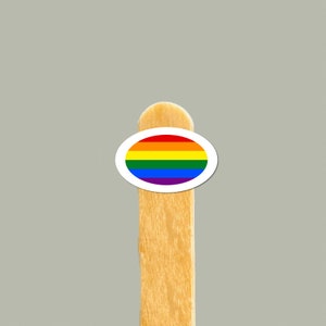Adesivo de bandeira do orgulho | Decalque de vinil LGBTQ+ arco-íris | Adesivo pequeno de orgulho para laptops, garrafas de água, diários | Presente LGBTQ inclusivo