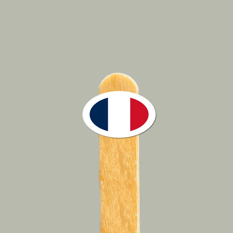 May include: A wooden popsicle stick with a round sticker featuring the French flag colors: blue, white, and red.