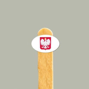 Sticker aigle polonais | Sticker en vinyle Patrimoine de la Pologne | Petit sticker polonais fierté pour téléphones, ordinateurs portables, bouteilles d'eau | Cadeau polonais