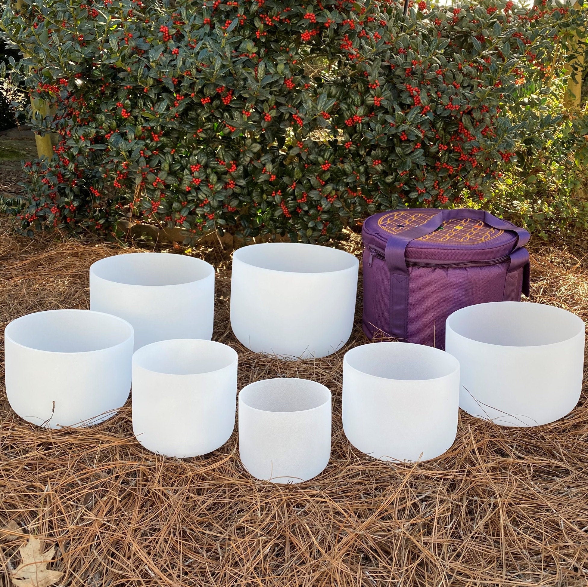 Crystal Singing Bowls for sale Only 3 left at 65