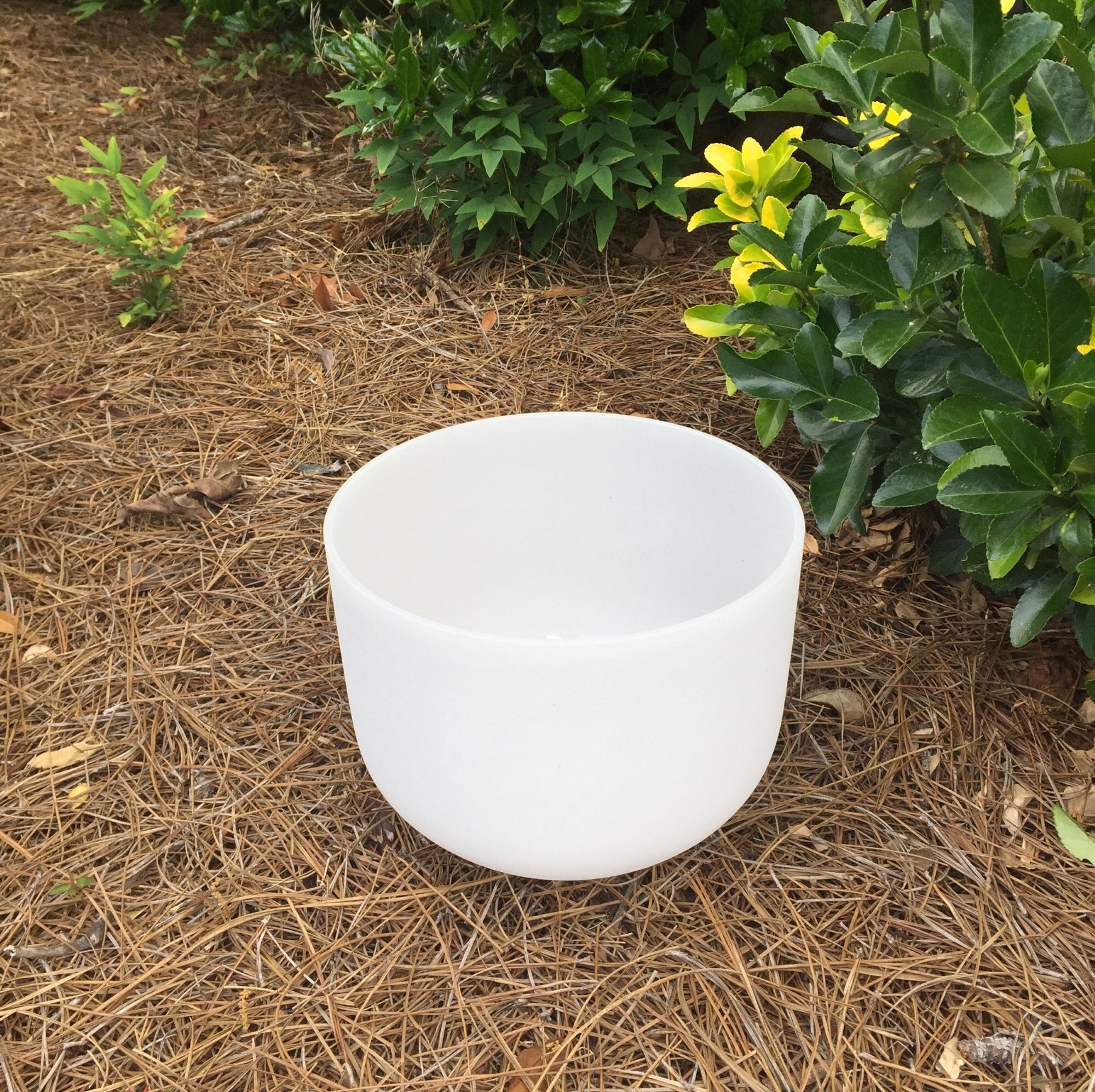 8b 10f 12e Frosted Crystal Singing Bowl Etsy