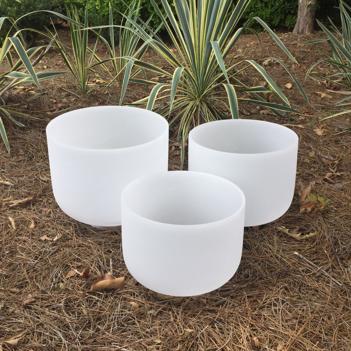 8b 10f 12e Frosted Crystal Singing Bowl Etsy