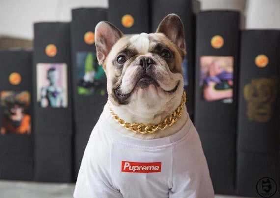 pupreme dog shirt