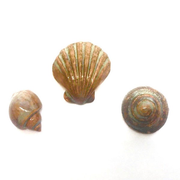 Ensemble de tuiles en céramique Turquoise/ Brown Shells