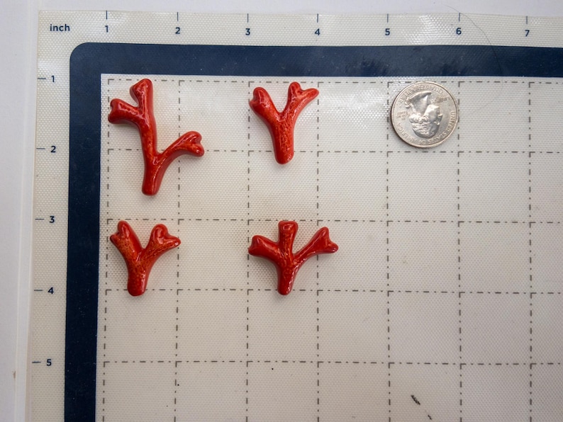 Puede incluir: Cuatro piezas peque&ntilde;as de coral rojo brillante con forma de rama dispuestas sobre una alfombrilla de corte blanca con cuadr&iacute;cula. Una moneda plateada est&aacute; situada a la derecha para dar escala, midiendo las piezas unos 2,5 cent&iacute;metros.