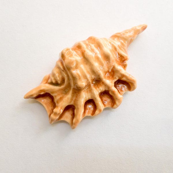 Large Shell Ceramic Mosaic Tile for Backsplash Table Mural