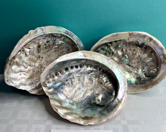 Large Abalone Shell, Shell Dish, Ornament, Bowl, Smudging, Crystal Healing, Reiki Charged