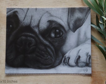 Mops 20x10 Inches Giclee Fine Art Print