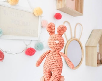 Titou le lapin Tuto Patron en Français pour crochet amigurumi PDF