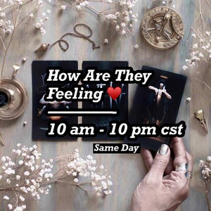 Könnte beinhalten: Zwei Tarotkarten mit schwarzem Hintergrund und weißem Text. Die obere Karte sagt "How Are They Feeling" mit einem roten Herzen. Die untere Karte sagt "10 am - 10 pm cst Same Day".