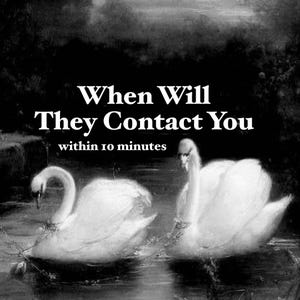 以下が含まれることがあります： 湖で泳ぐ2羽の白鳥の白黒写真。白鳥の上に「When Will They Contact You within 10 minutes」というテキストが表示されています。