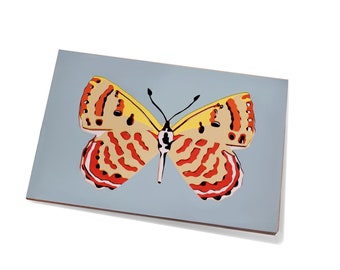 Butterfly Cards for All Occasions Unique Art Collages