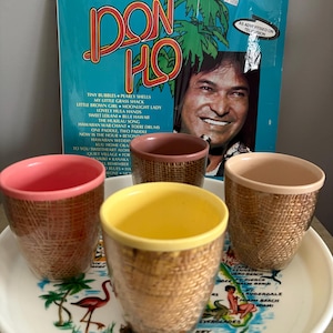SET of 4 1960&#39;s TIKI tumblers, Raffia Ware Thermo temp insulated glassware, plastic glasses, mid century barware, multi coloured, retro cool