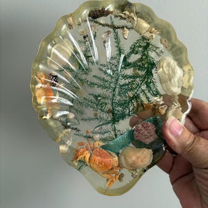 SHELL dish, scalloped edge, resin/lucite, crabs, shells, ferns, beach house decor, cottage decor, nautical, soap dish, jewellry holder, cute