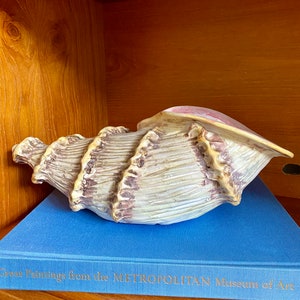 ENORMOUS Italian ceramic shell cachepot, Italy, ITALIAN ceramics, Beach House decor, COASTAL decor, conch shell, cachepot, Made in Italy