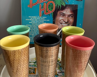 May include: Six clear plastic cups with a woven brown pattern and different colored rims. The cups are arranged in a circle on a white plate with a map of Florida printed on it. The cups are all empty.