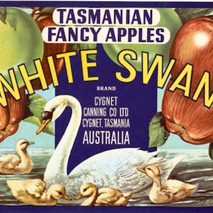 Apple Box Labels Vintage Tasmanian