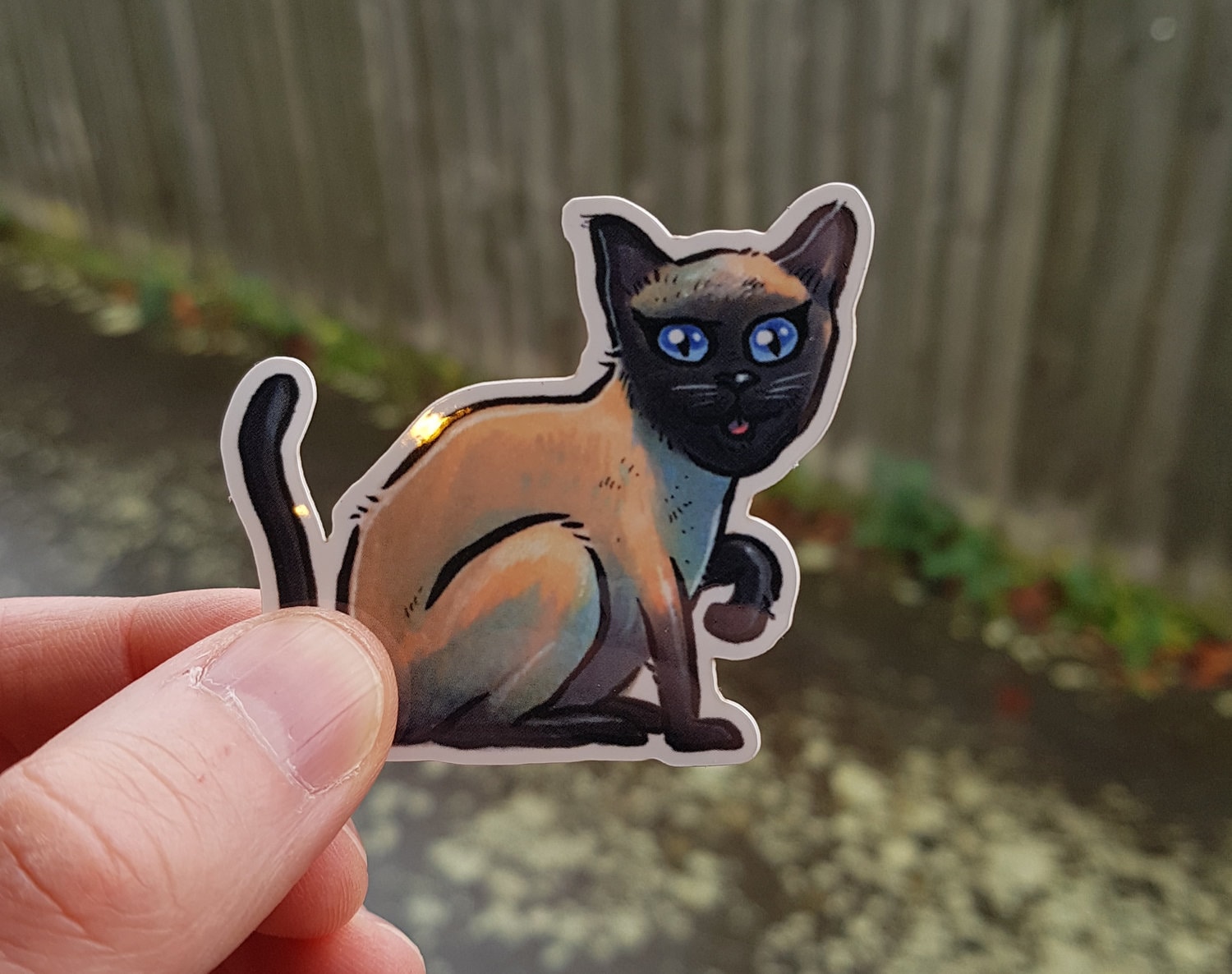 Simon cat sticker - .de