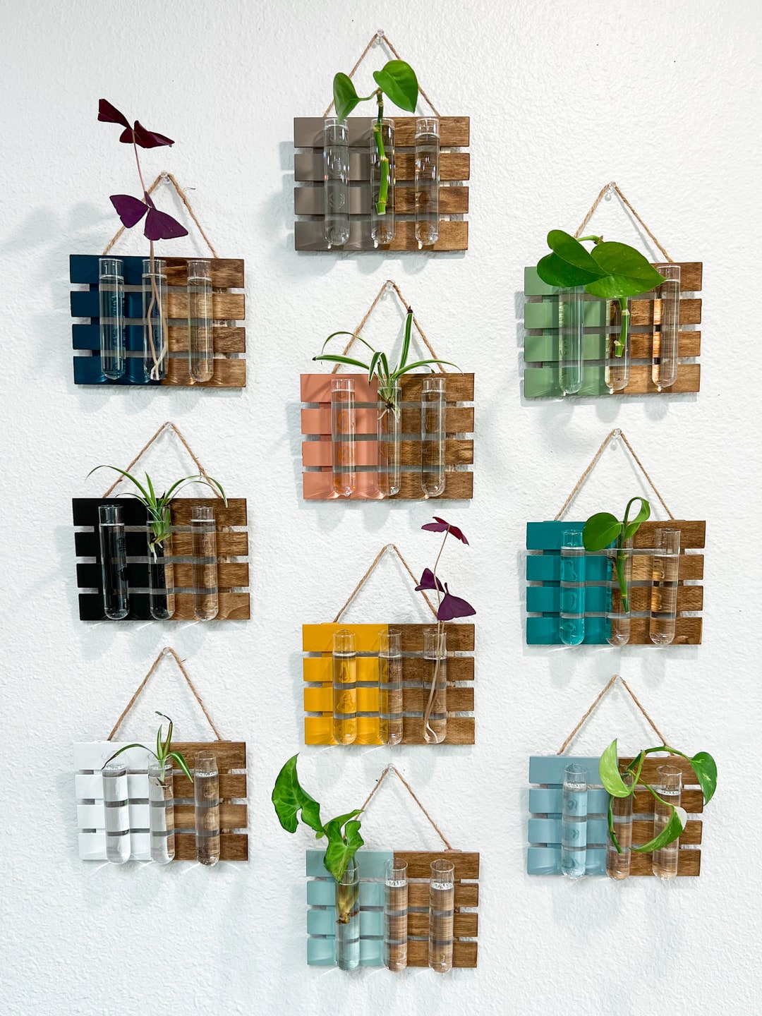 Hanging Propagation Station, Boho Wall Decor, Gift for Plant Lover