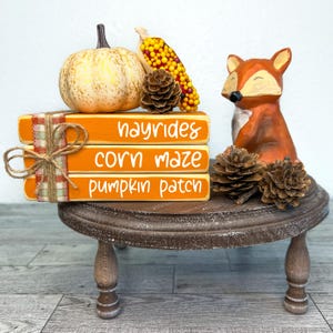 May include: A decorative fall-themed display featuring a pumpkin, corn, and a fox figurine. Three orange wooden blocks read "hayrides", "corn maze", and "pumpkin patch". The display is on a small, round, wooden table.