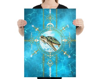 Turtle Light Language Activation Code Poster