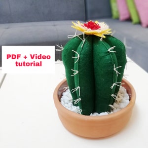 Felt Succulent Cactus sewing pattern felt cactus pdf pattern video tutorial felting plant retro home decor succulent cactus